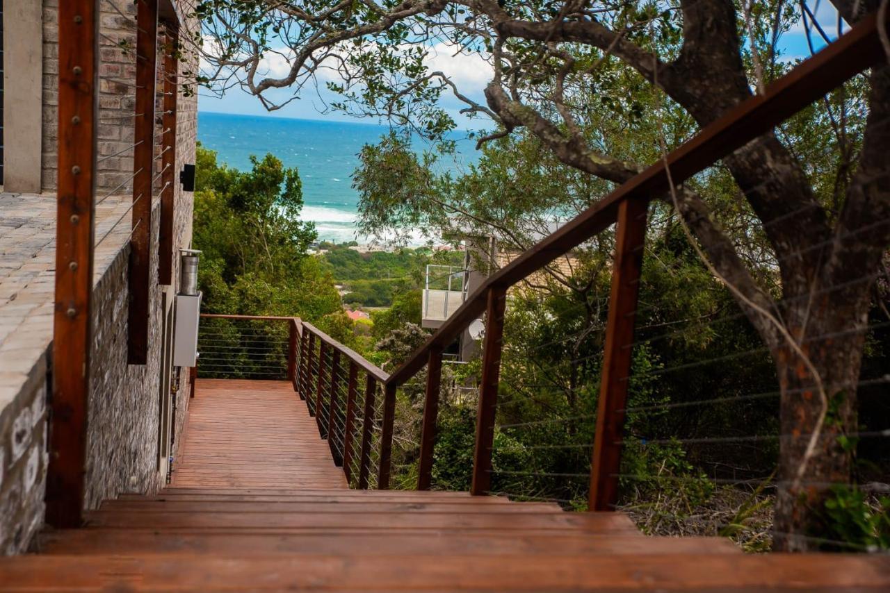Forest Hill Wilderness Luaran gambar