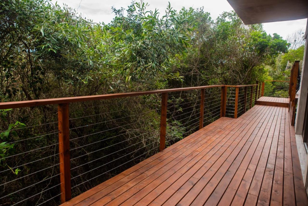 Forest Hill Wilderness Luaran gambar