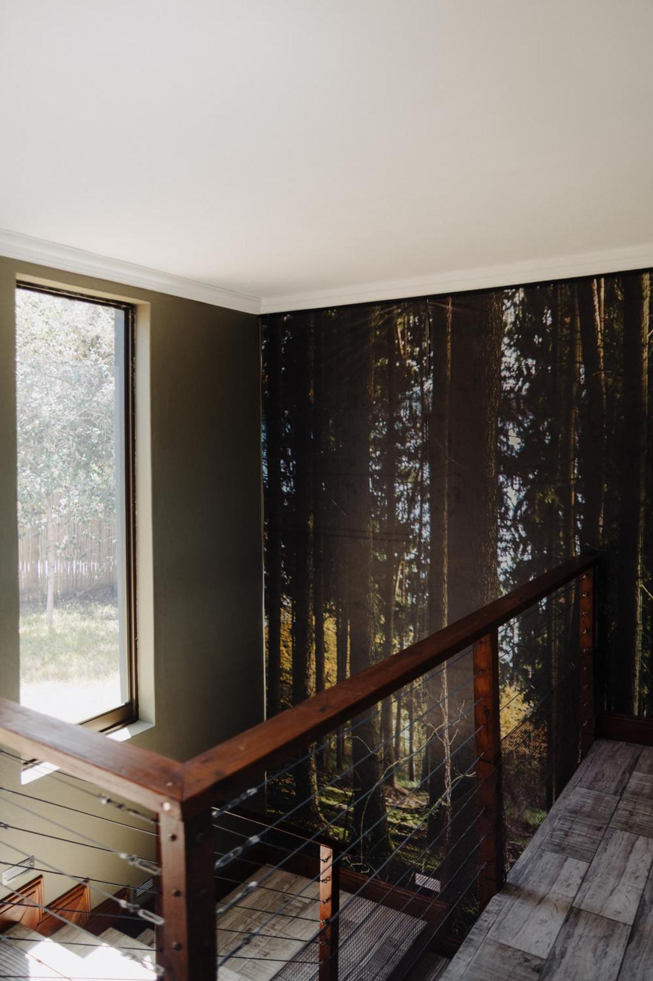 Forest Hill Wilderness Luaran gambar